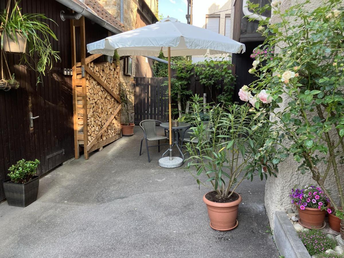 Appartement Enz à Bietigheim-Bissingen Extérieur photo